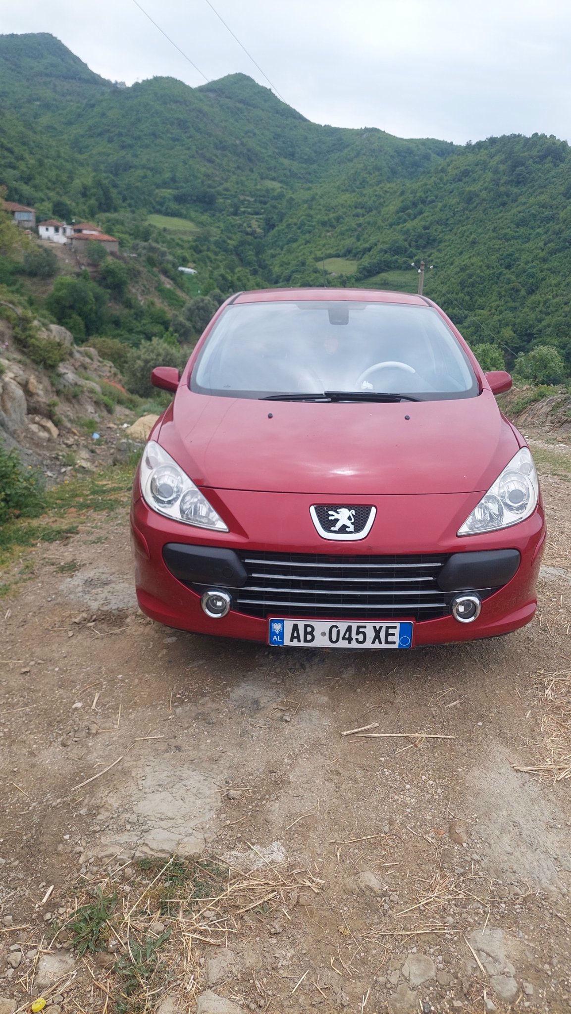 PEUGEOT 307