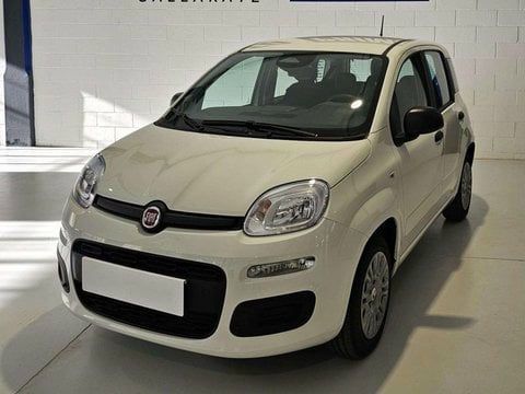 Fiat Panda 2025 - photo 1