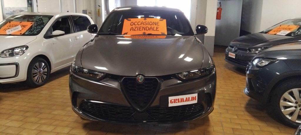 Alfa Romeo Tonale 2022 - photo 1