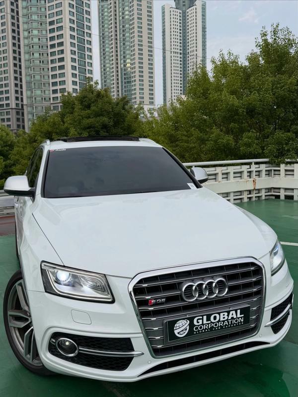 Audi SQ5 2015